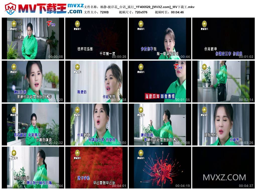 杨静-彼岸花_台语_流行_YF400529
